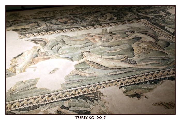 TURECKOE 2015