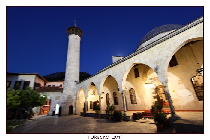 TURECKOE 2015