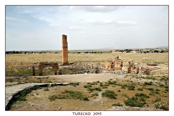 TURECKOE 2015