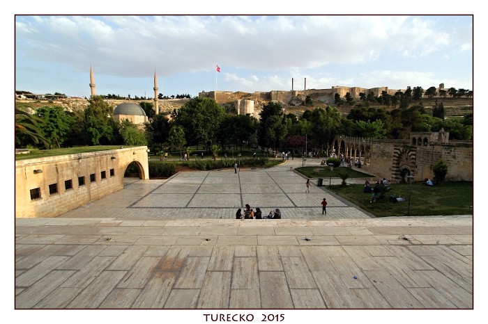 TURECKOE 2015