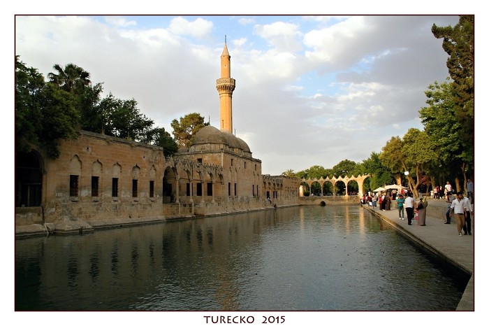 TURECKOE 2015