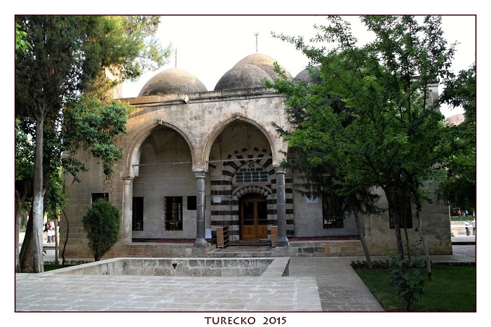 TURECKOE 2015
