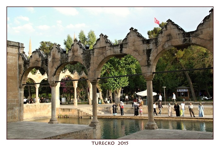 TURECKOE 2015