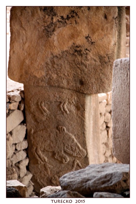 TURECKOE 2015