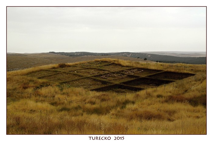 TURECKOE 2015