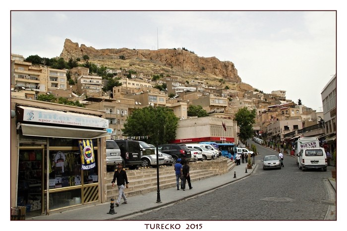 TURECKOE 2015
