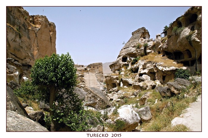 TURECKOE 2015
