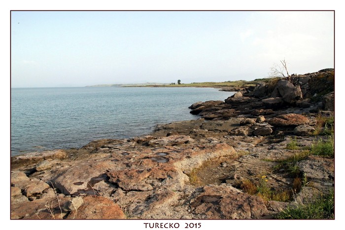 TURECKOE 2015