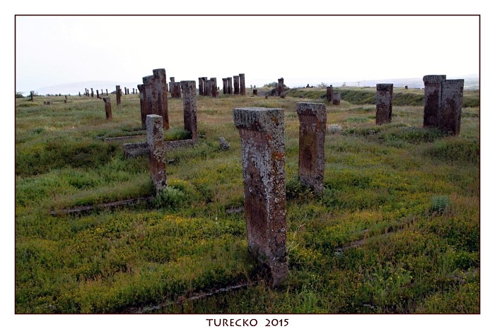TURECKOE 2015