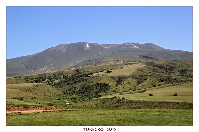 TURECKOE 2015