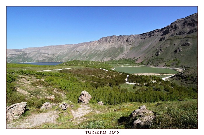 TURECKOE 2015