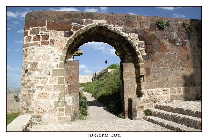 TURECKOE 2015