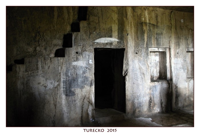 TURECKOE 2015