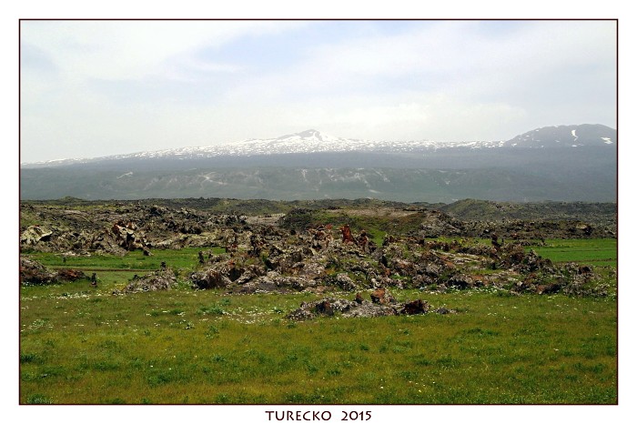 TURECKOE 2015
