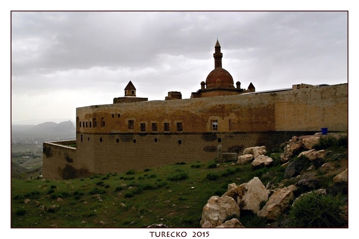 TURECKOE 2015