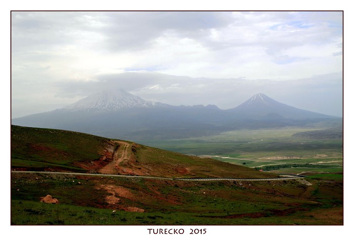 TURECKOE 2015