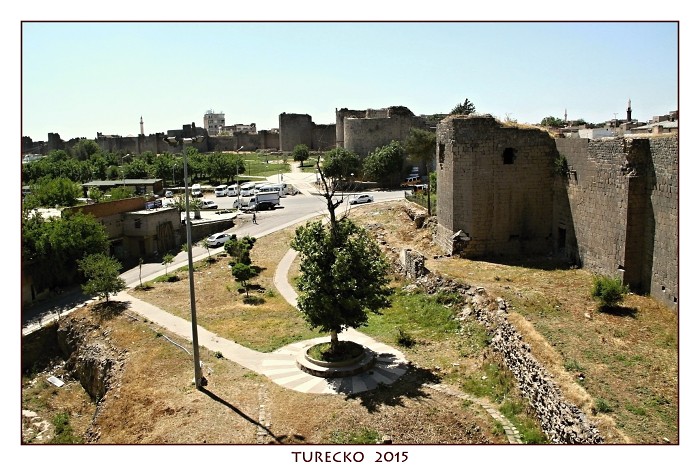 TURECKOE 2015