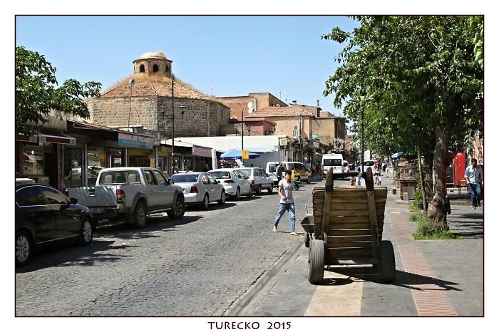 TURECKOE 2015
