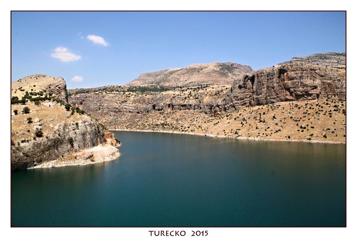TURECKOE 2015