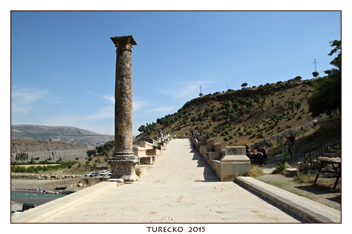 TURECKOE 2015