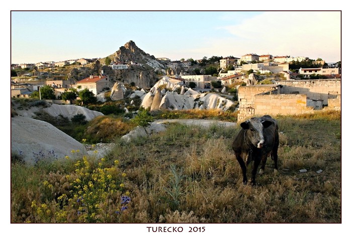 TURECKOE 2015