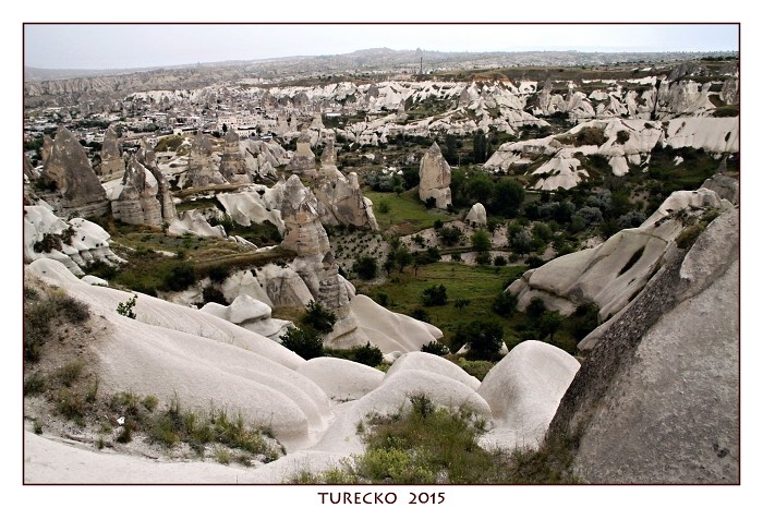 TURECKOE 2015