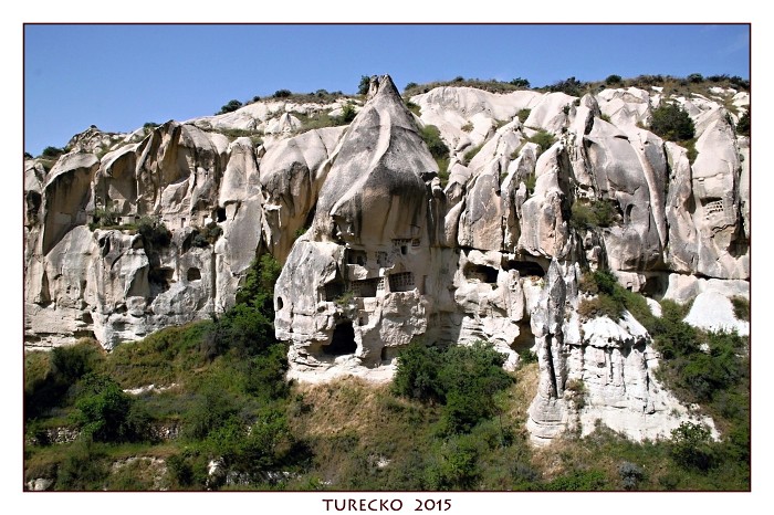 TURECKOE 2015