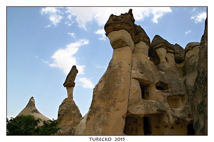 TURECKOE 2015