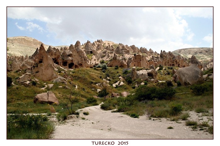 TURECKOE 2015