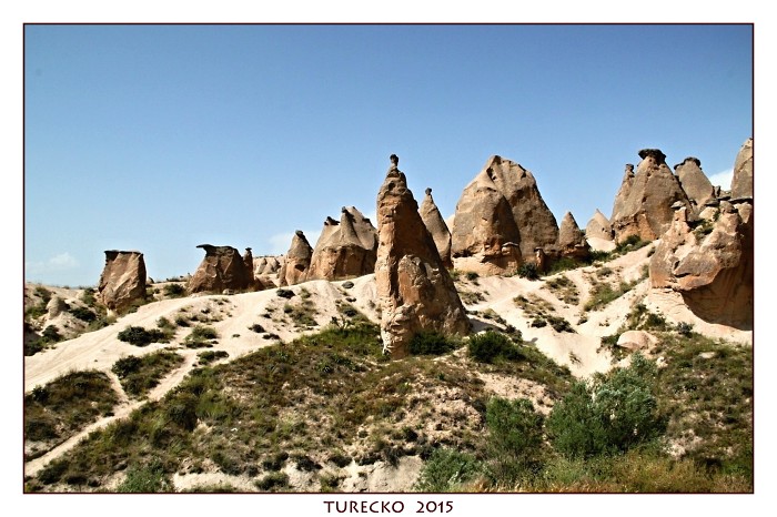 TURECKOE 2015
