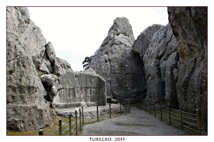 TURECKOE 2015
