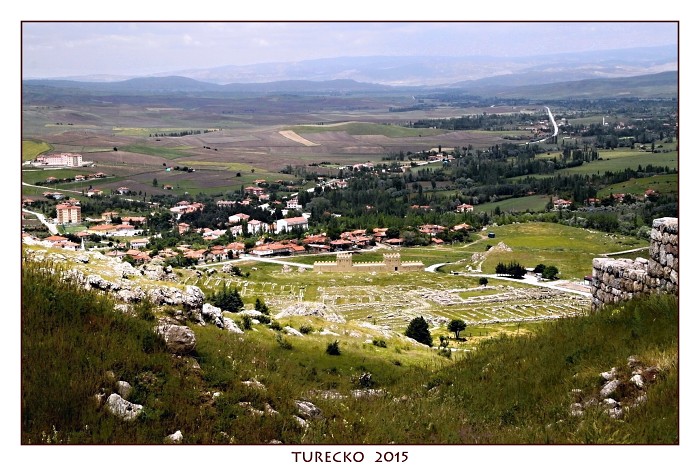 TURECKOE 2015