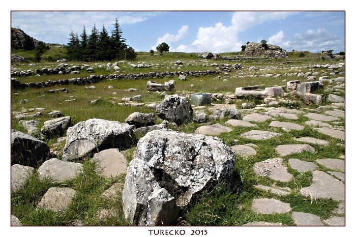 TURECKOE 2015