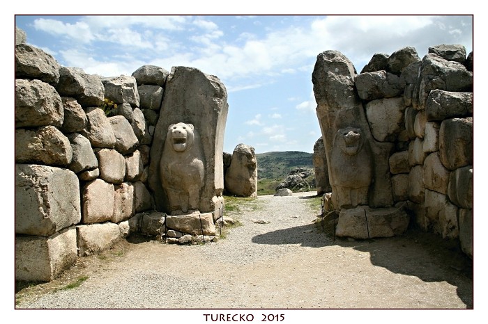 TURECKOE 2015