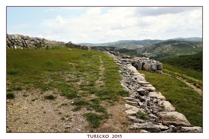 TURECKOE 2015