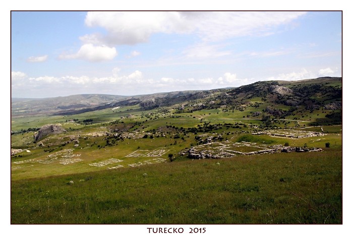 TURECKOE 2015