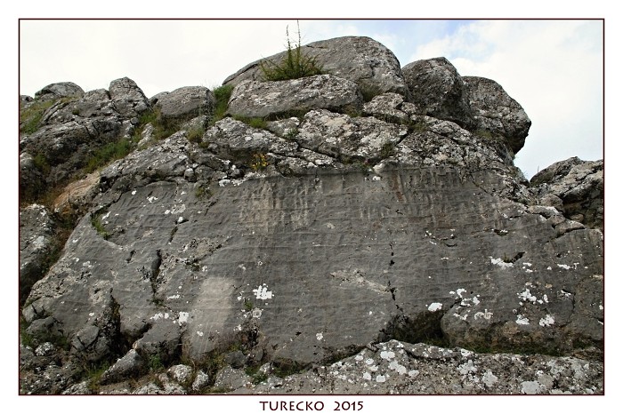 TURECKOE 2015