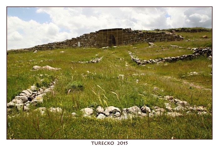 TURECKOE 2015