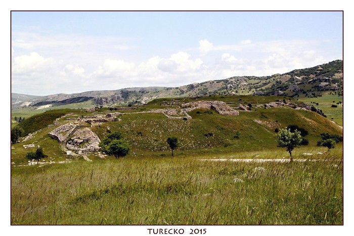 TURECKOE 2015