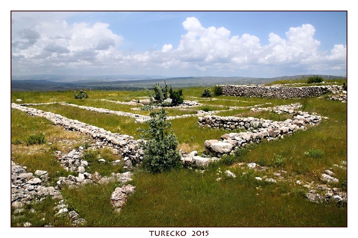TURECKOE 2015