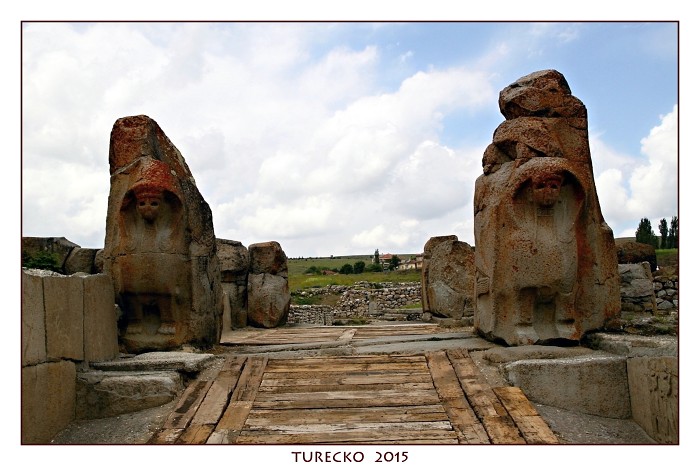 TURECKOE 2015