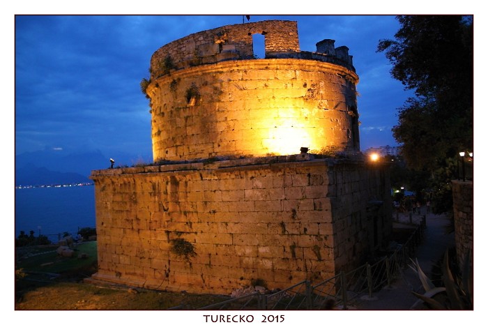 TURECKOE 2015