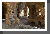 Anamurium
