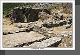 Anamurium