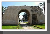 Tarsus