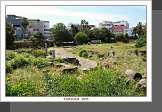 Tarsus