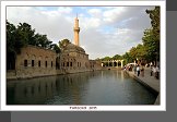 Sanliurfa