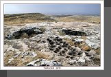 Göbekli Tepe