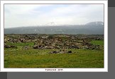 Muradiye