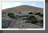 Nemrut Dagi